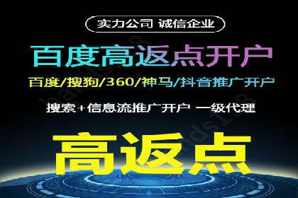 SEM代运营经典案例解析与启示